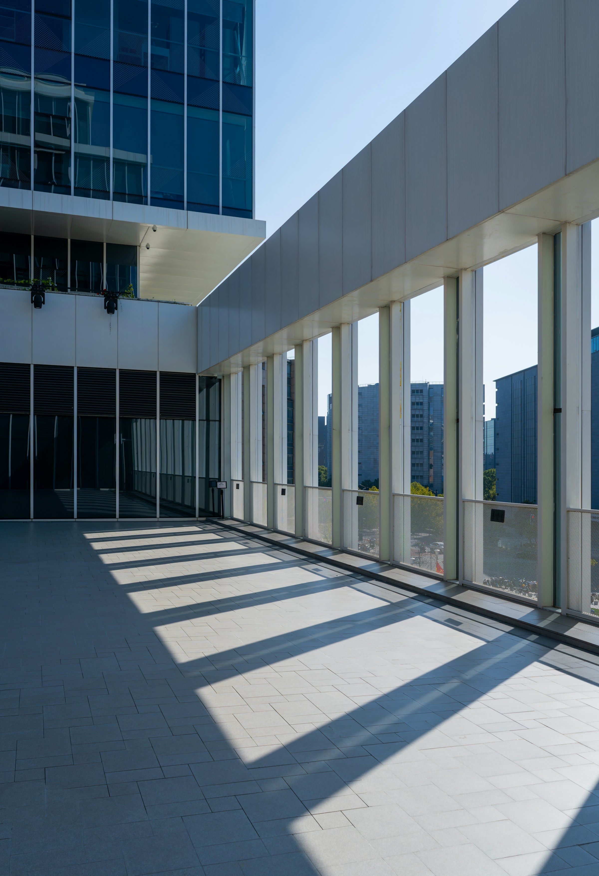 Glazed hall with slim steel mullions and long shadows